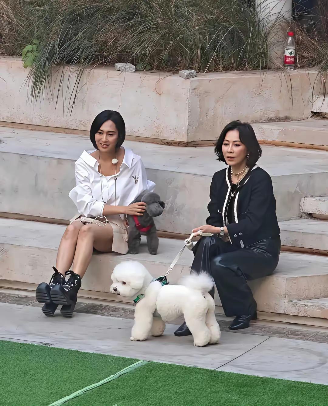 原来女神级别的女明星
也会随性地坐在地上
刘嘉玲与朱茵便是如此接地气
她们一同遛