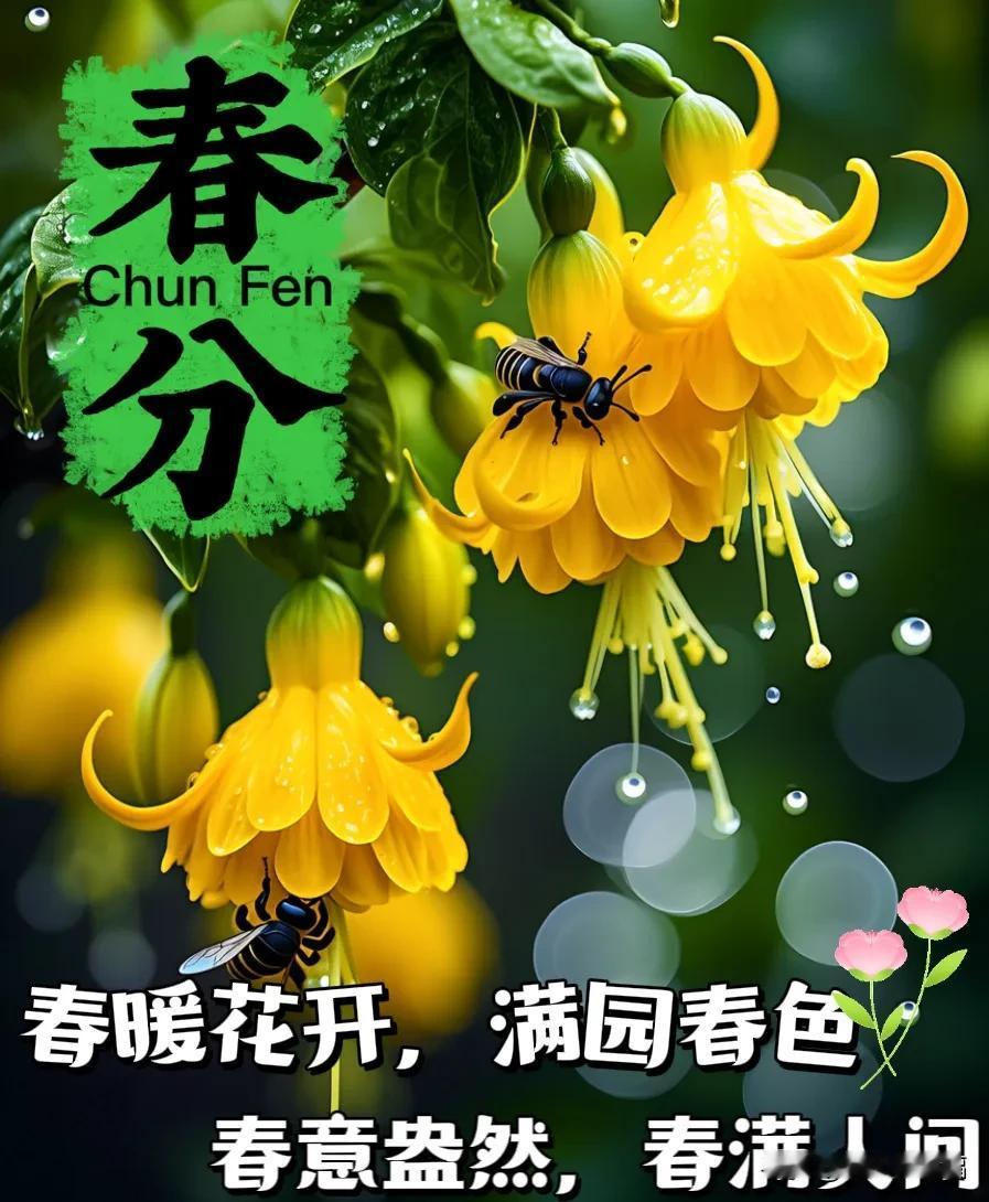 3月20日春分时节-漂亮的早安图片带字暖心祝福语，温馨的早上好问候语群发早安祝福