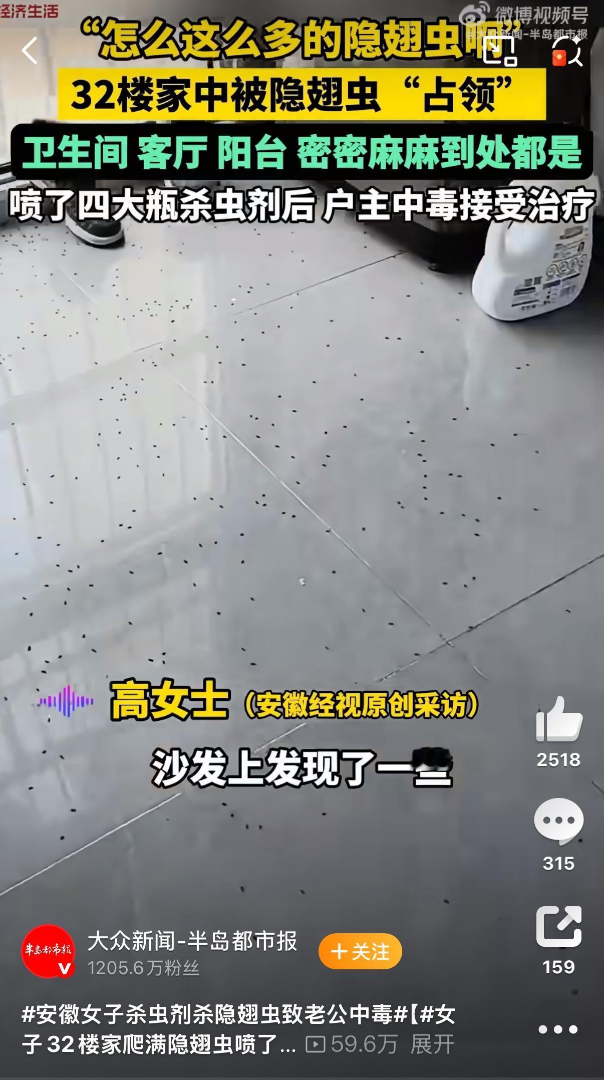 32楼的高楼层居然被虫子“攻陷”，安徽宿州这位女士的遭遇真是让人隔着屏幕都觉得头