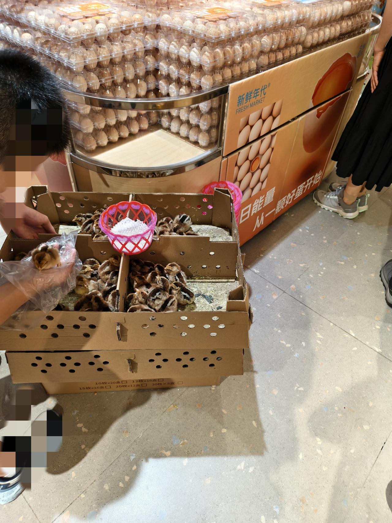 又看到超市的鸡蛋这边有活动。
买鸡蛋一份19.8元可送小鸡🐥一只的哦，有很多孩