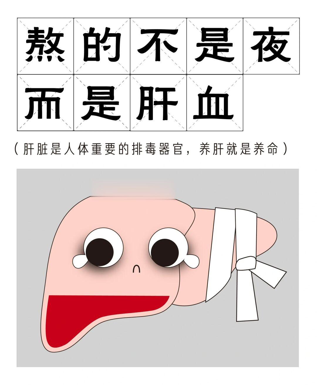 百岁老人培养计划 养肝就是养命