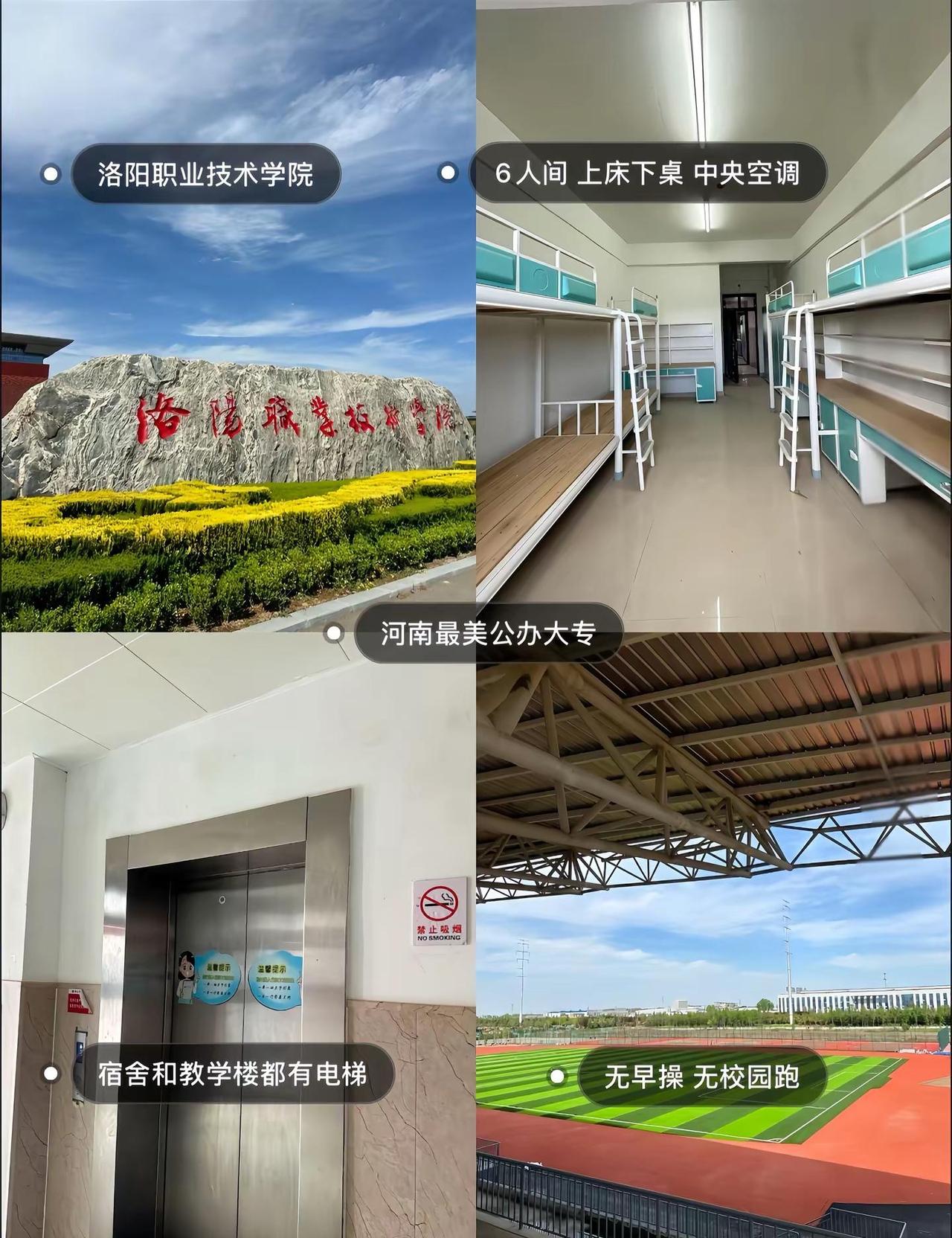 洛阳职业技术学院洛阳职业技术学院 远扬学长 河南高考