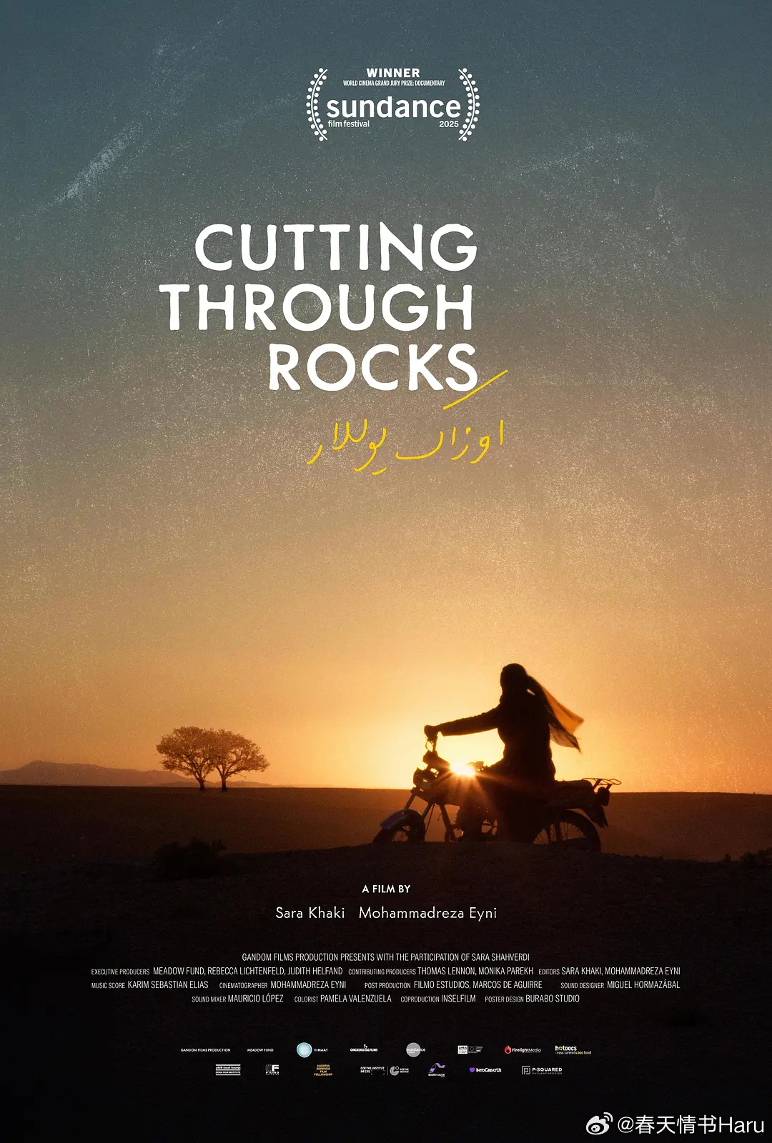 破石之刃 Cutting Through Rocks (2025)第98届奥斯卡