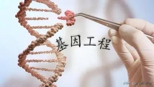 2026年3月6日，秘鲁批准了第 068-2026-MINAM-DM 号部长级决