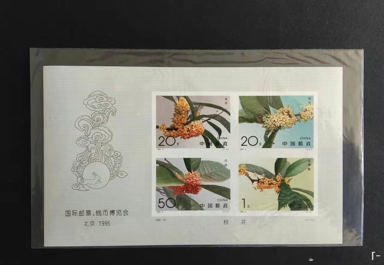 来看一张珍贵的邮票，这是中国邮政1995年发行的《桂花》无齿小全张邮票，特别为国