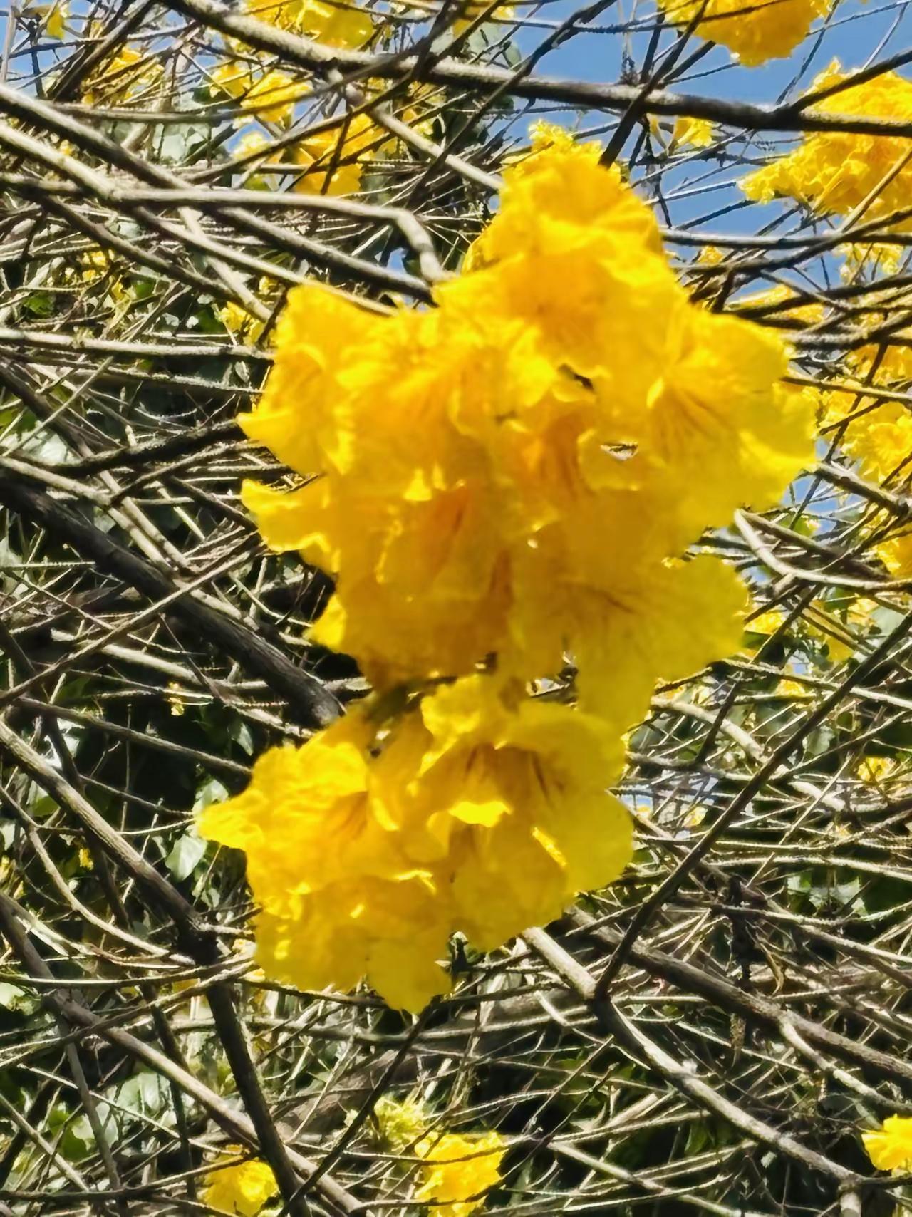 现在社会上有一种这样的趋势：女人对男人的父母，有一种越来越冷淡的趋势，钱拿过来，