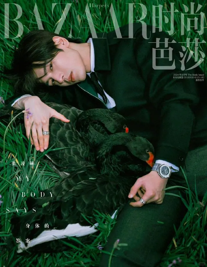 张凌赫｜Harper's BAZAAR时尚芭莎电子刊