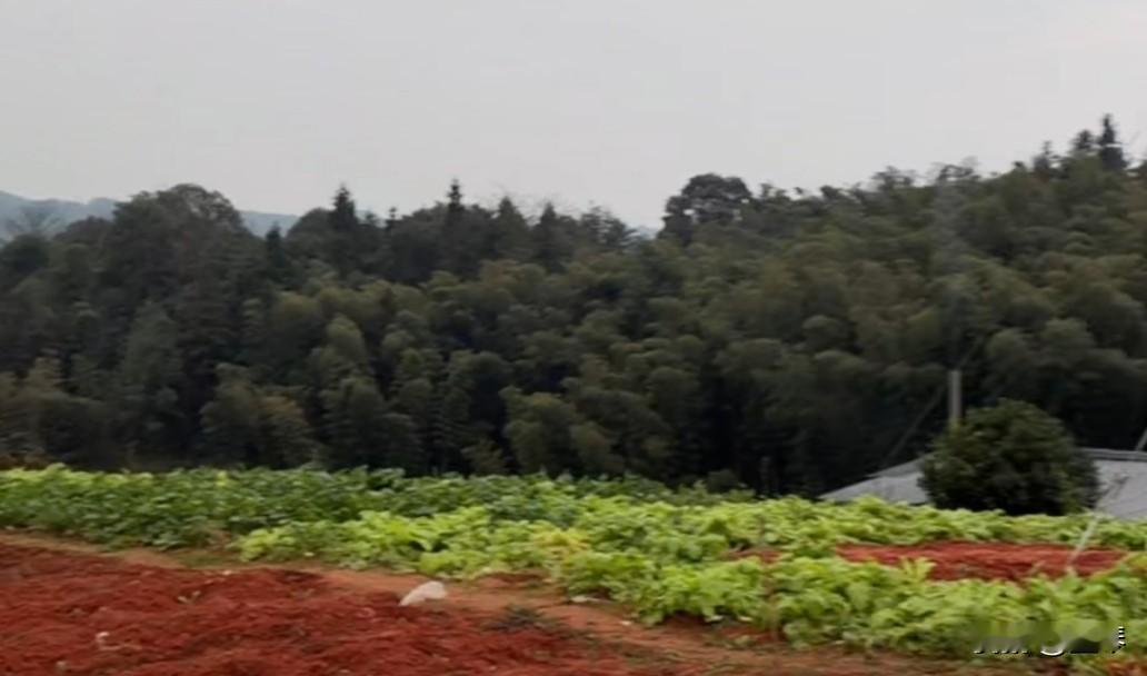 当代年轻人的梦想:拥有高学历，稳定的工作稳定的收入，结婚遇到良人，生孩子有人帮忙