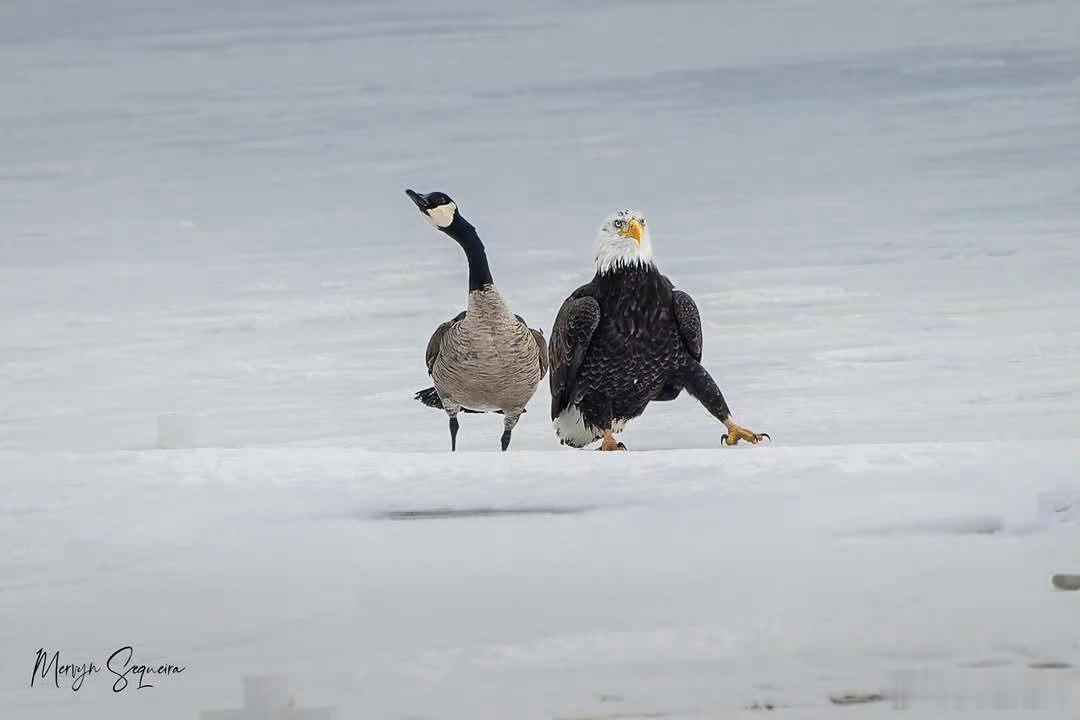 列瓦达1月民调，约25的俄罗斯人视美国为敌国，远远低于拜登时期的70％。 