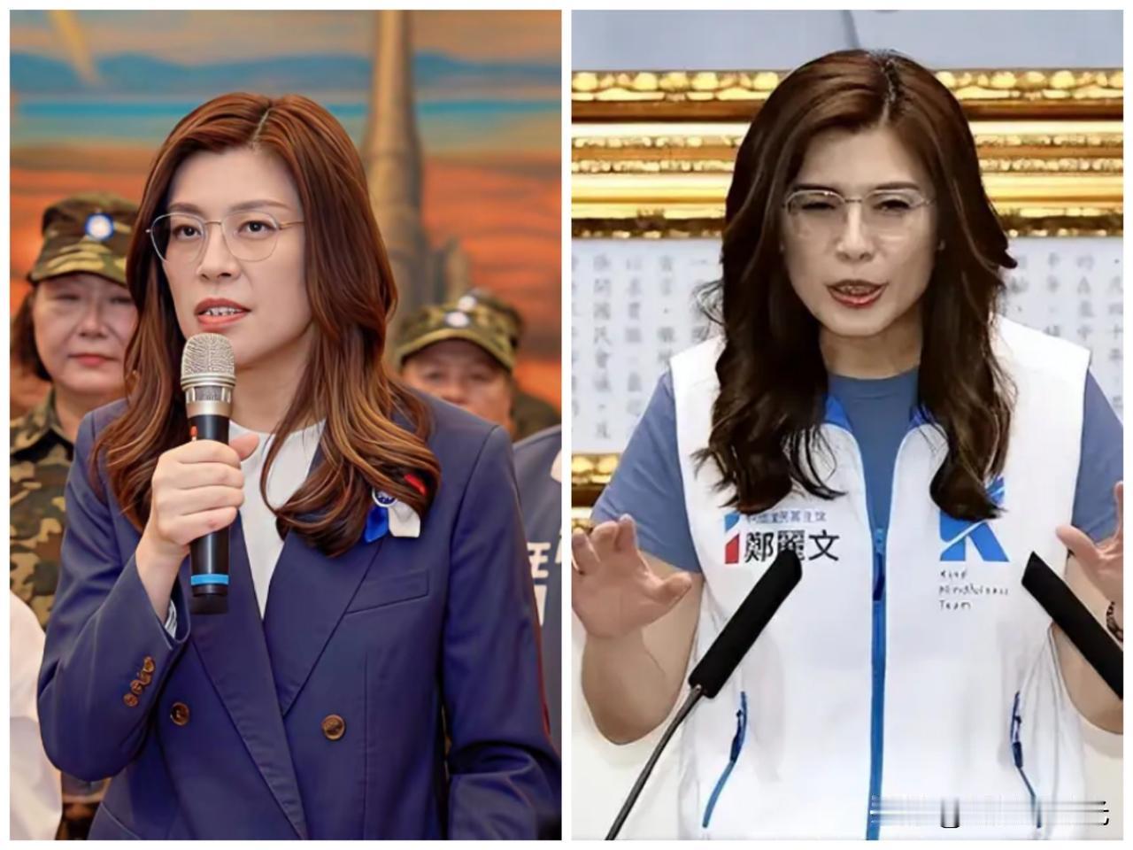没想到，国民党主席郑丽文这么有钱啊，就近段时间以来，日本地震时候，郑丽文以个人名