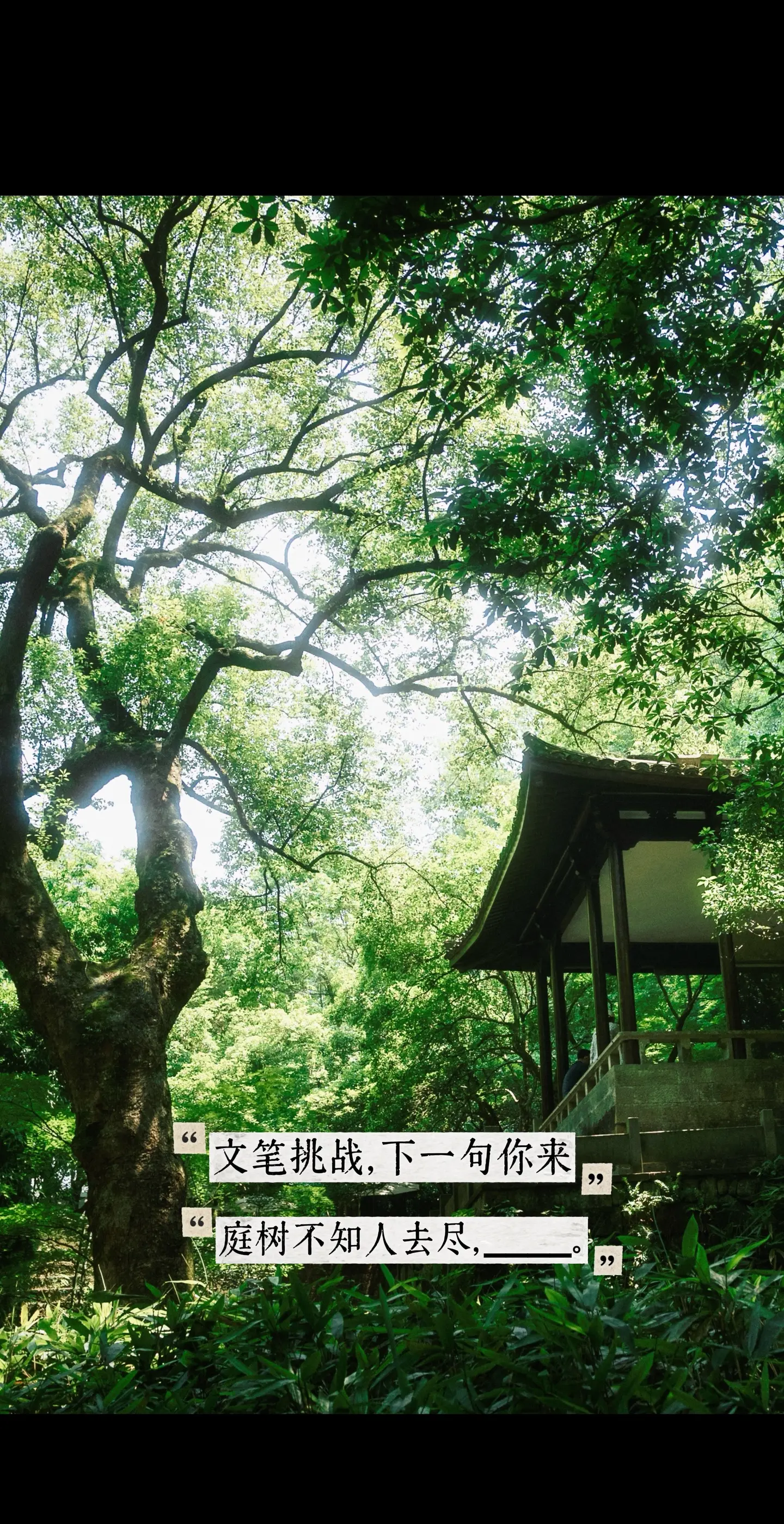 庭树不知人去尽，_____。“文笔挑战，下一句你来”