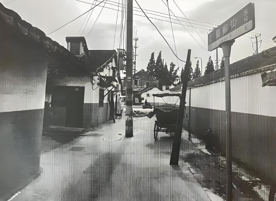 2002年盛夏，上海青浦白鹤镇，一场毫无声响、精心策划的冷血谋杀，在光天化日的居