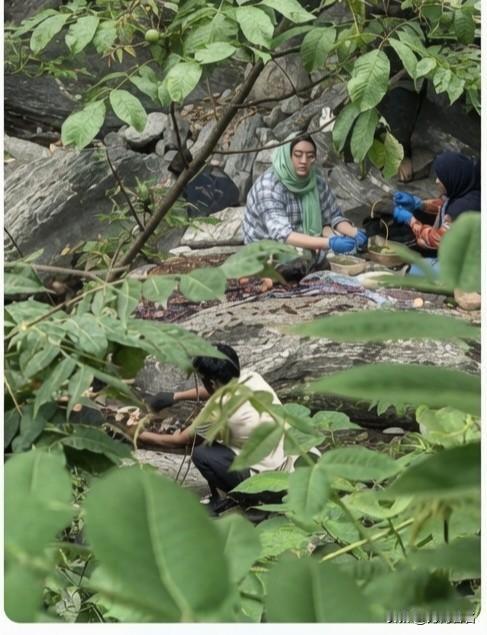 几个印度人在西安秦岭金龙峡烧烤，他们非常清楚自己在干什么。
        这些
