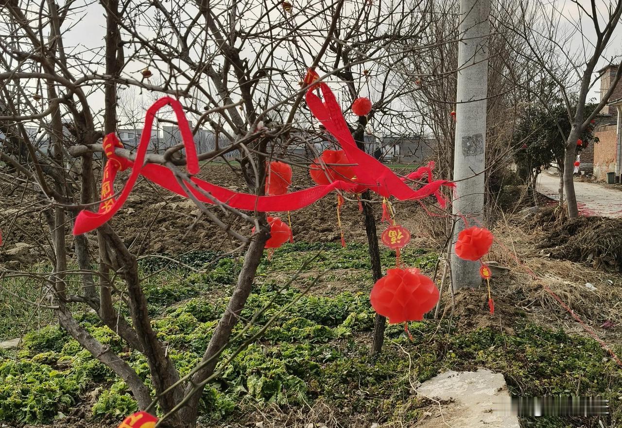 今年春晚小品蔡明推出“蔡明”出场，大家的印象深刻，A|时代真的来了，不是很遥远而