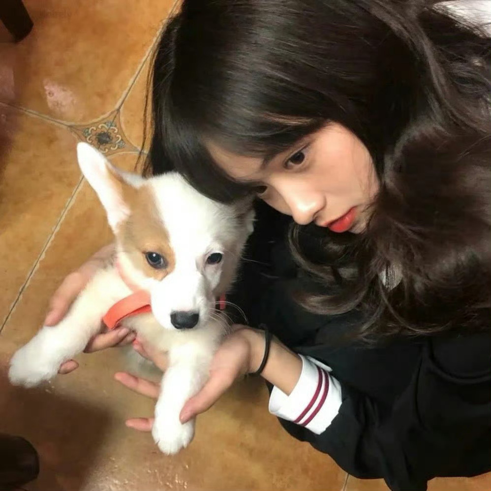 女生头像︎︎︎ɢᴏᴏᴅ 