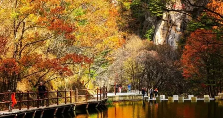 河南一景区面向全国免门票、免索道票！
