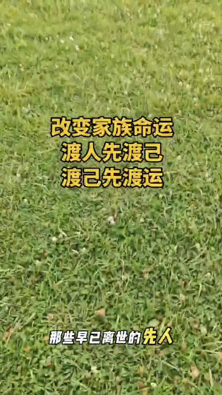 家族几代人都是普通百姓，偏偏到了你这一代，开始思考人生因果轮回，走上修行之路。别