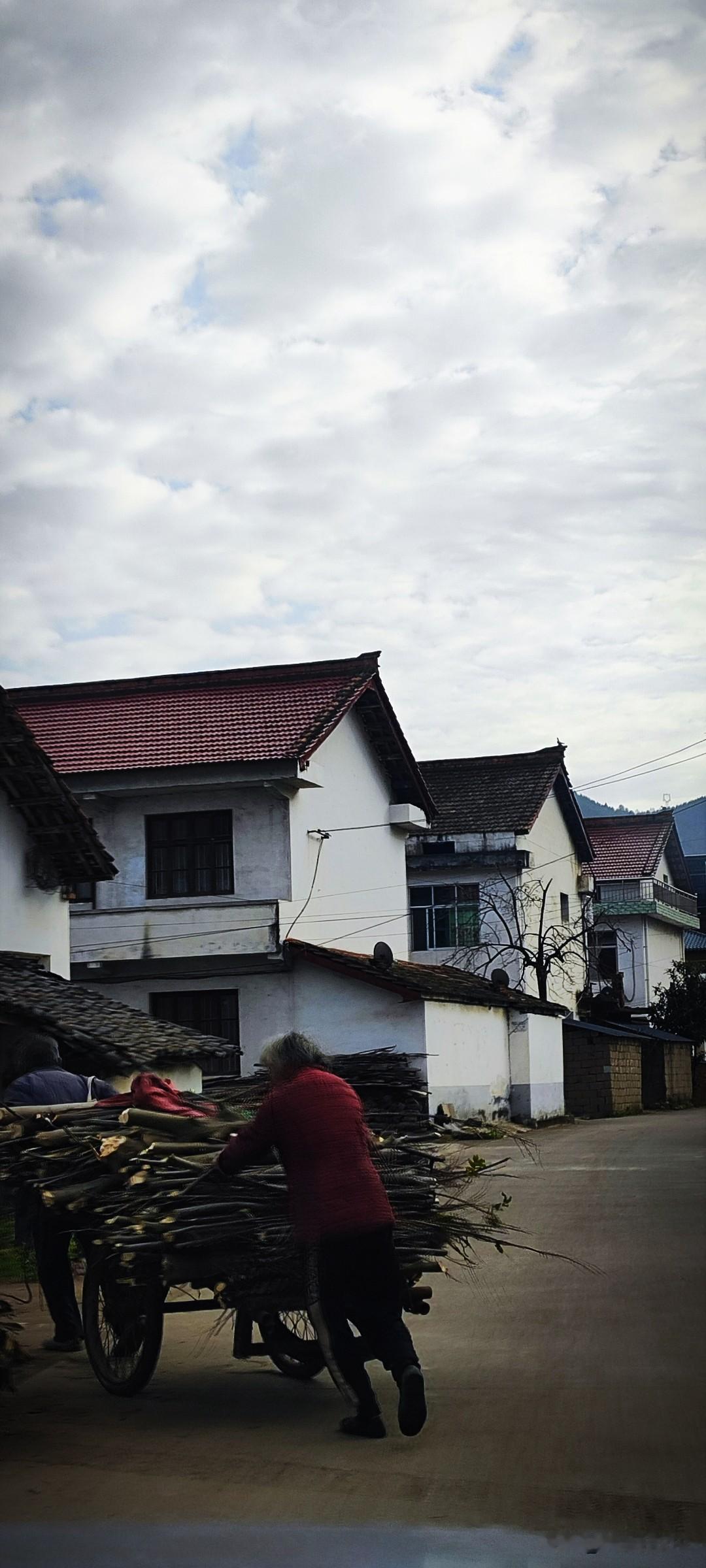 冬日生活打卡季村子里都通了路，一排排屋舍一直通到公路上。冬日里，还是用点柴火做饭