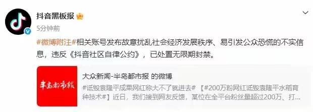 人到了中年再看前阵子媒体报道的农业网红诋毁袁老成果这事，
最大的“解气”，
是账