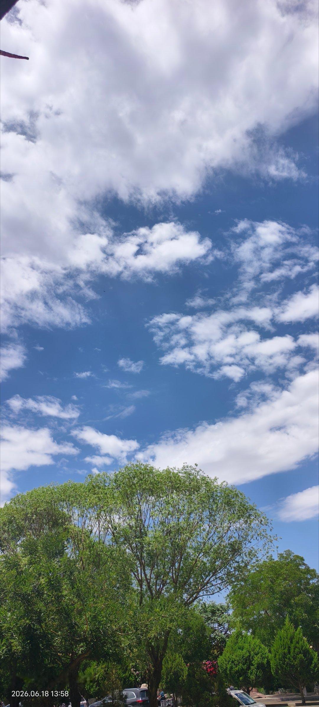 昨天下了一晚上的雨☔️，今天出门空气都是清新的，心情美美哒！！ 