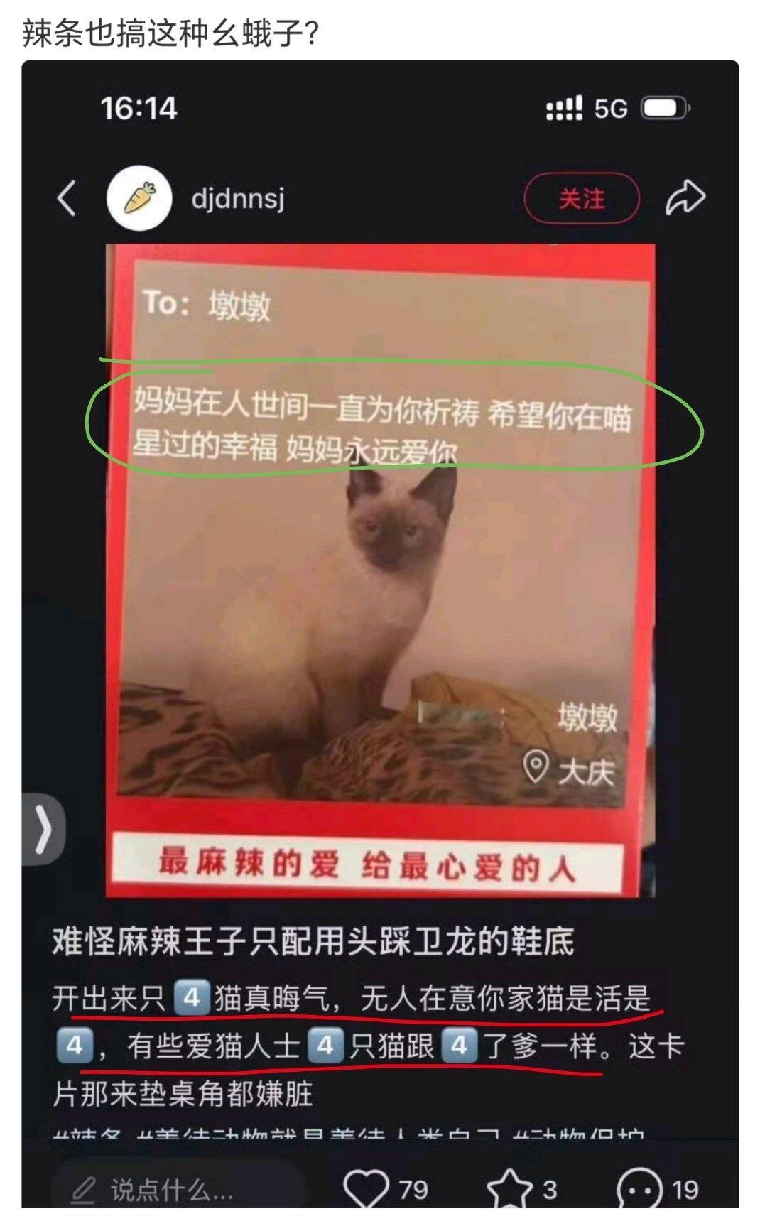 看见猫就应激的，是哪种动物？ ​​​