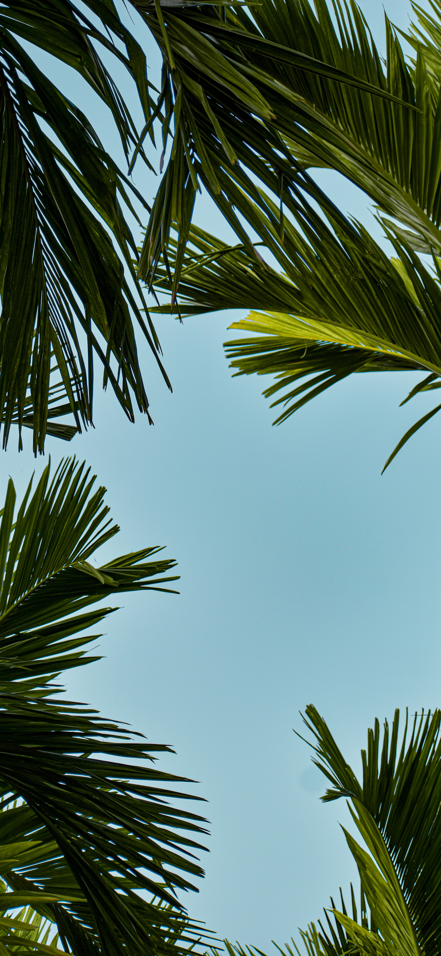 小伙伴们早今日份风景壁纸 已送达 