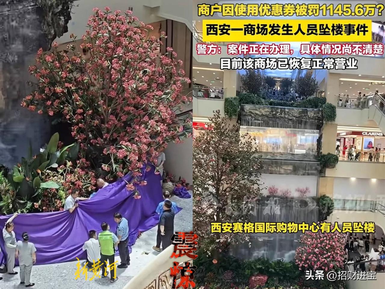 西安赛格严鹏的个人简历
严鹏个人简历（公开信息整理）
姓名：严鹏
年龄：60+岁