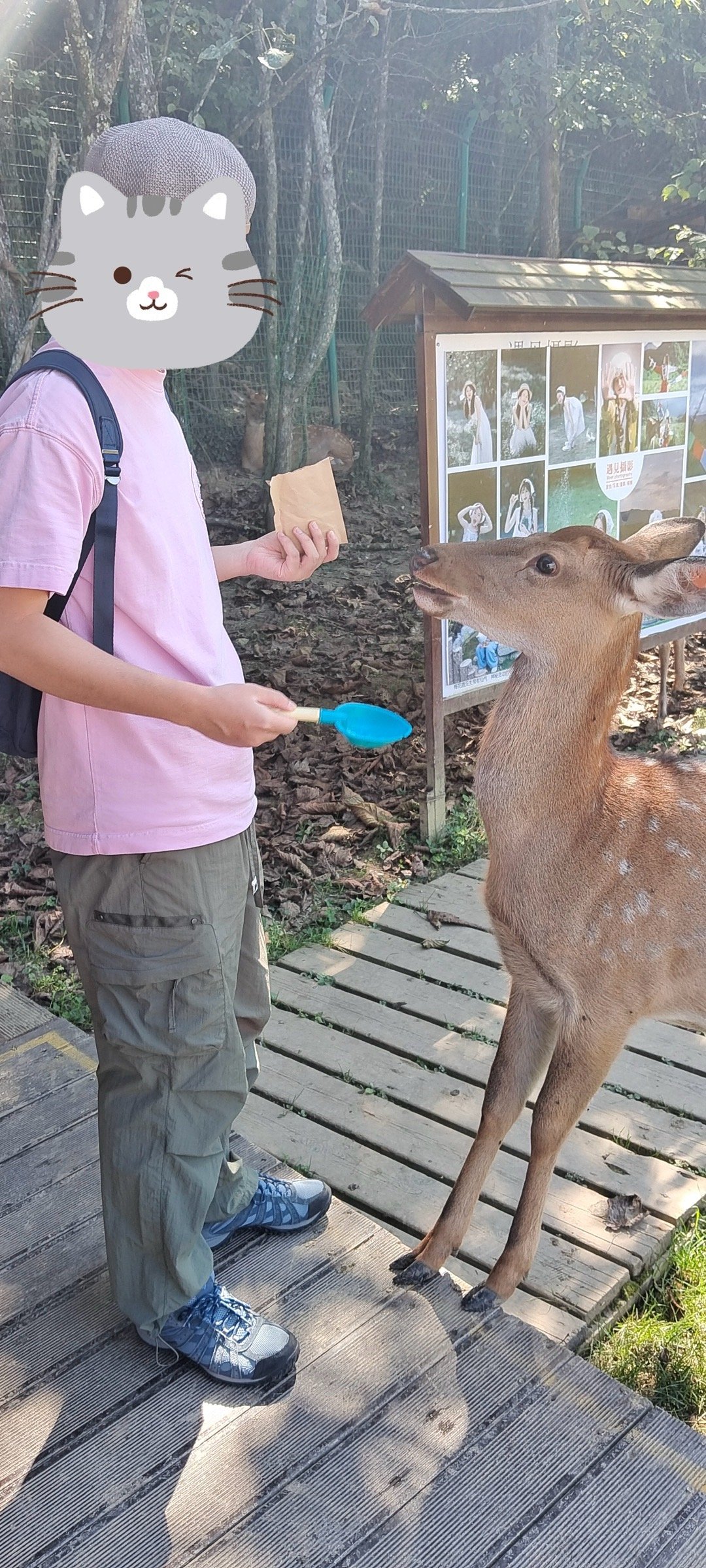我是来旅游的，你们想干什么.jpg ​​​