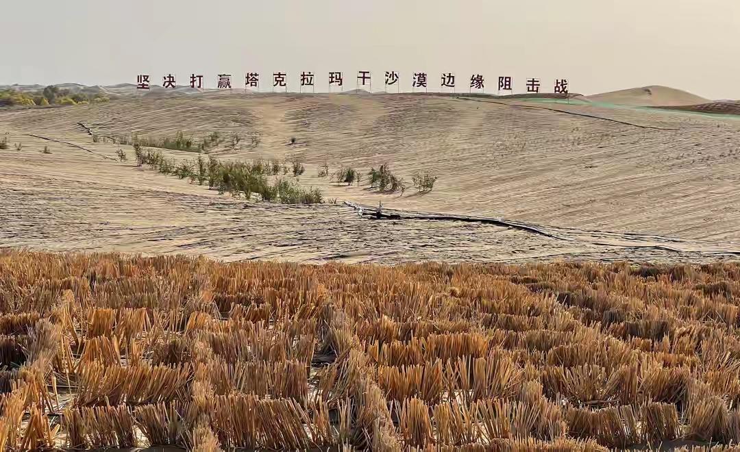中国有8大沙漠和4大沙地。目前4大沙地均治沙效果显著。这四大沙地分别是：毛乌素沙