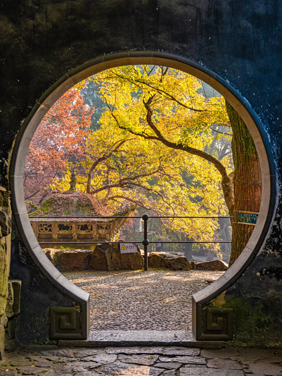 接下来几个月❗苏州秋景将是天花板级别的❗