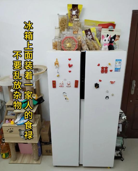 冰箱顶上放个东西居然能影响制冷效果？我用了10年才知道！ 闺蜜来我家串门，看我冰