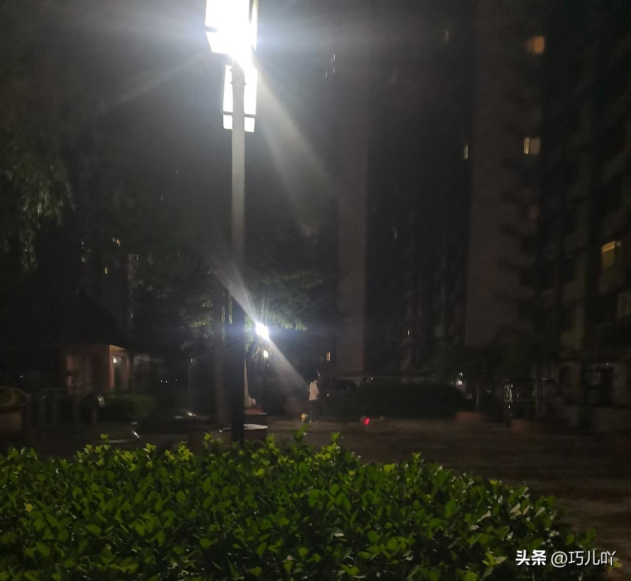小区里遛狗不拴绳，我又拍下来了，明天继续向市长热线反映情况。

我在5月23号去