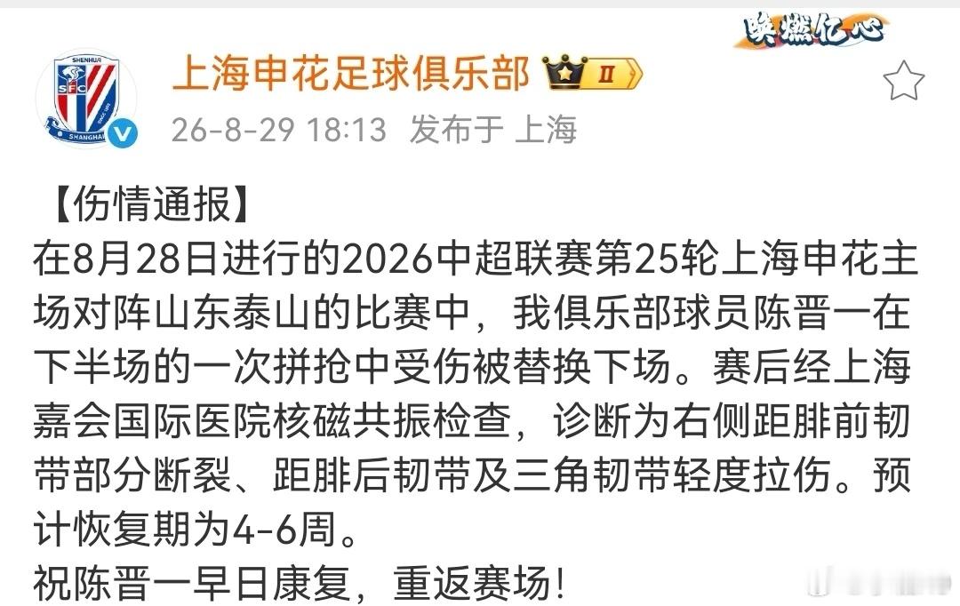 对申花战力减损很大。 ​​​