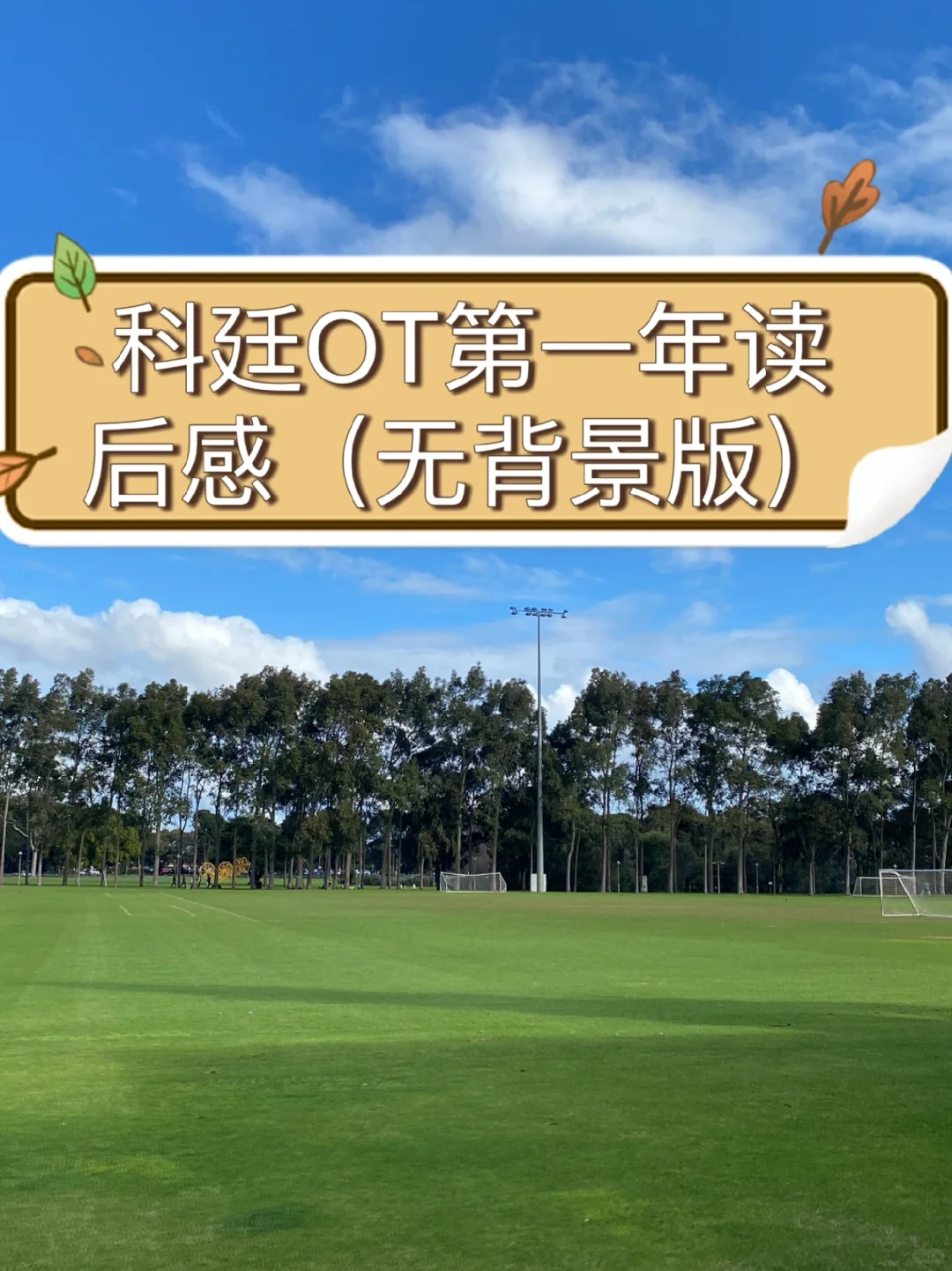 科廷OT第一年读后感（无背景版）下