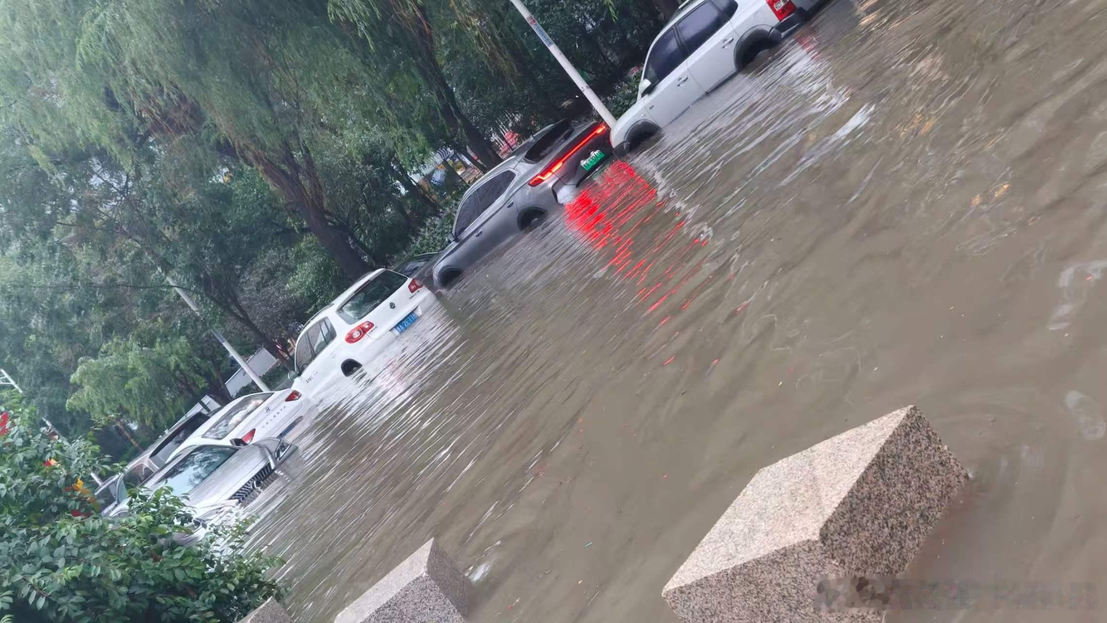 哈尔滨的朋友说，最近哈尔滨的降雨有些夸张，十几年也没见过！ 