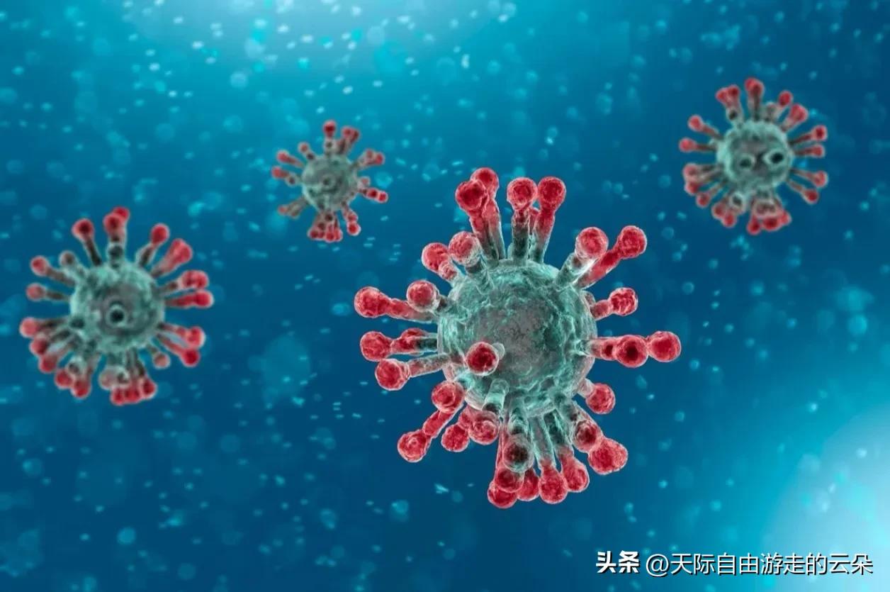 新冠阳性率超20%！记者一线走访：这波感染怎么看？怎么办？

暑期旅游旺季，身边