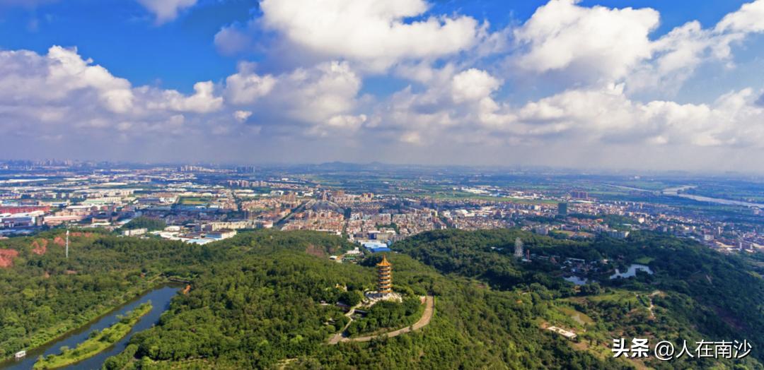 大岗镇人民政府紧盯群众急难愁盼问题，聚焦民生服务、社会安全、规划建设、政务服务、