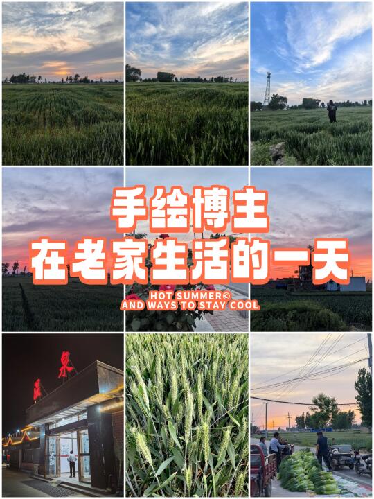 在老家看不完的风景❤🐶吃不完的蒜苔😂