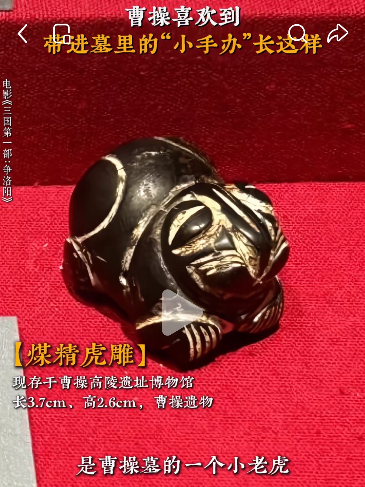这个小玩意咋还揣手呢 