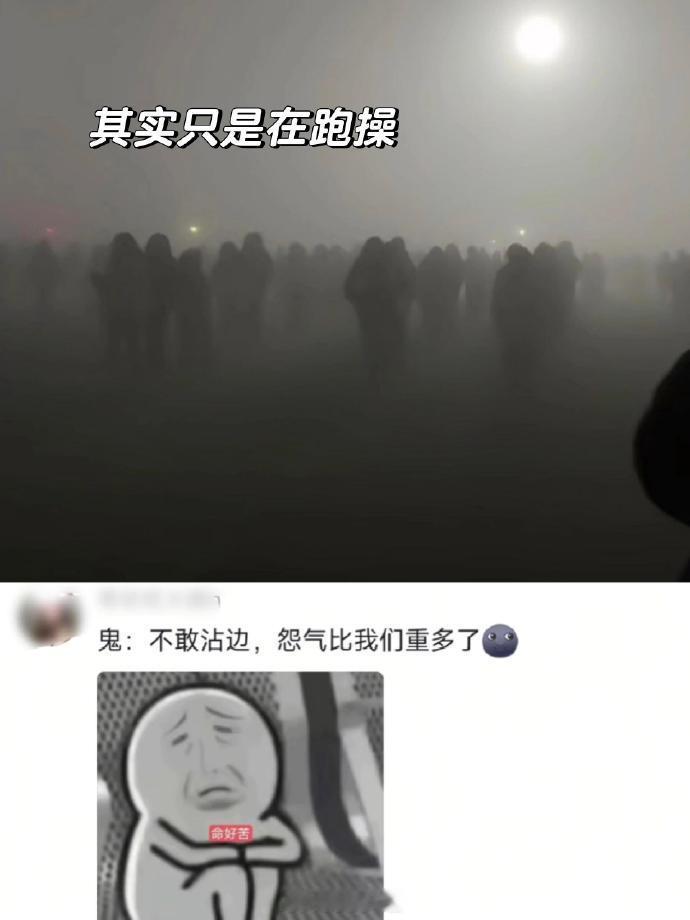 《这混进来两个真的谁分得清啊》 