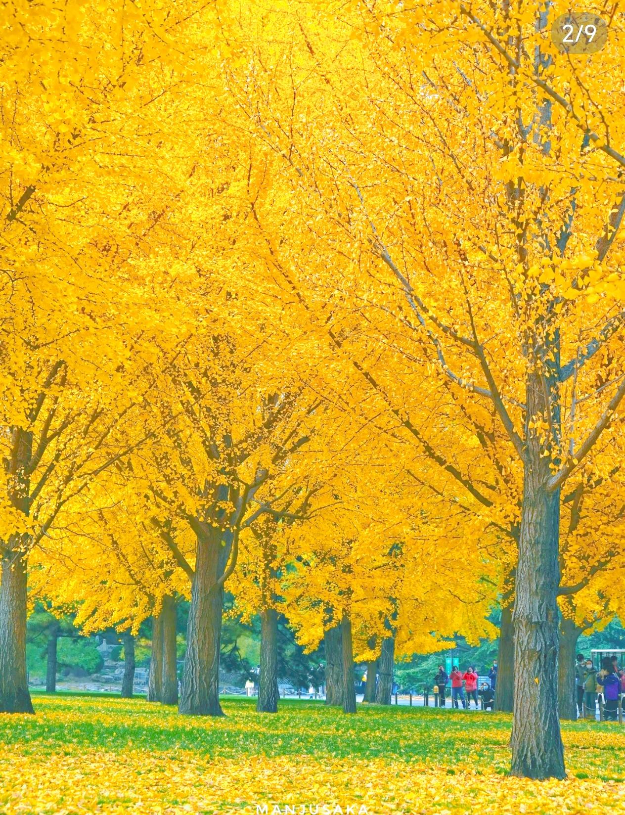 俄乌这仗打了挺久，最终结局我觉得大概率是“谈出来”的，不太可能一方彻底赢另一方。