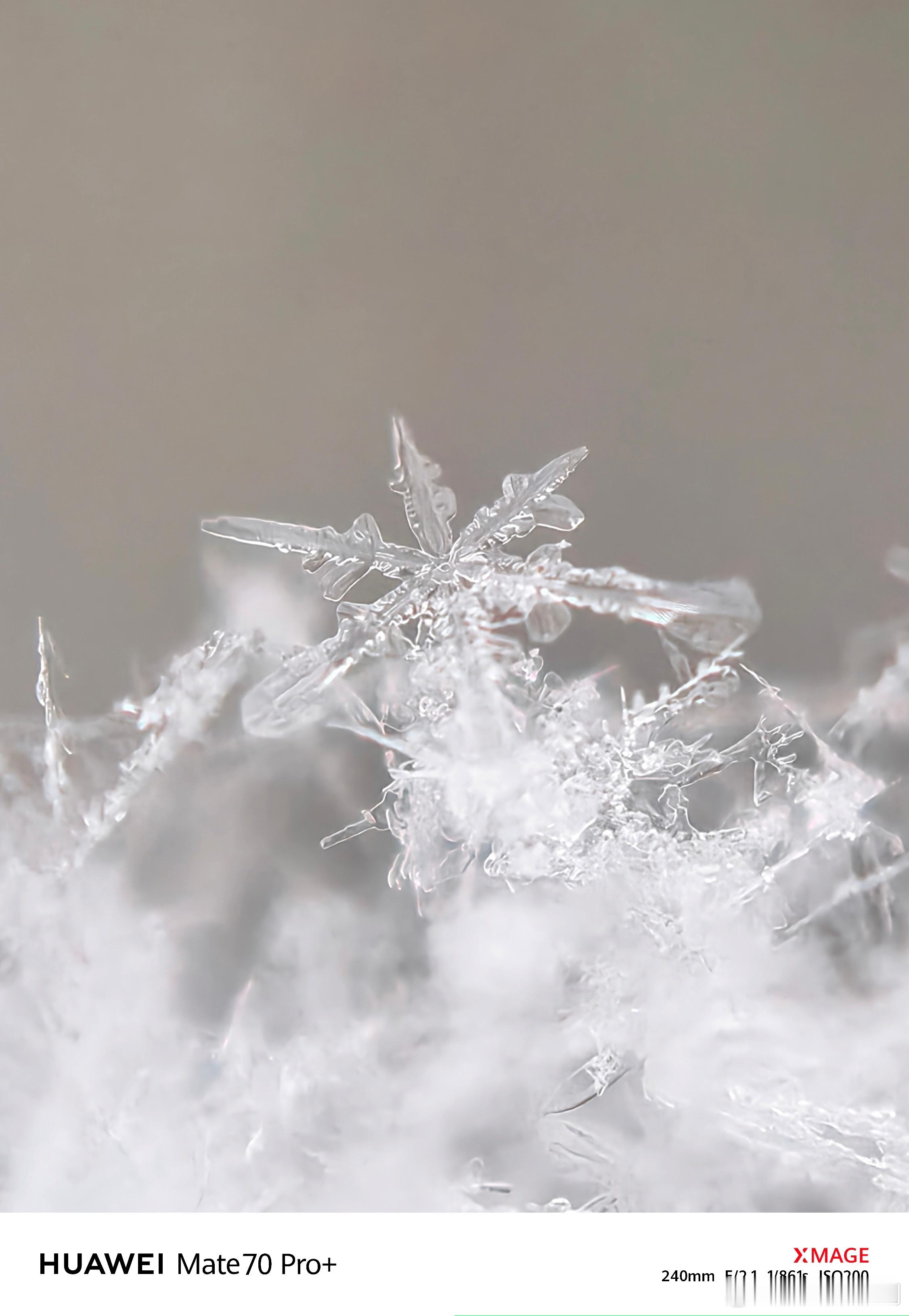 我用华为Mate70拍到了六角形的雪花！大雪天气，千万雪花飘落腊梅枝头，六角形的