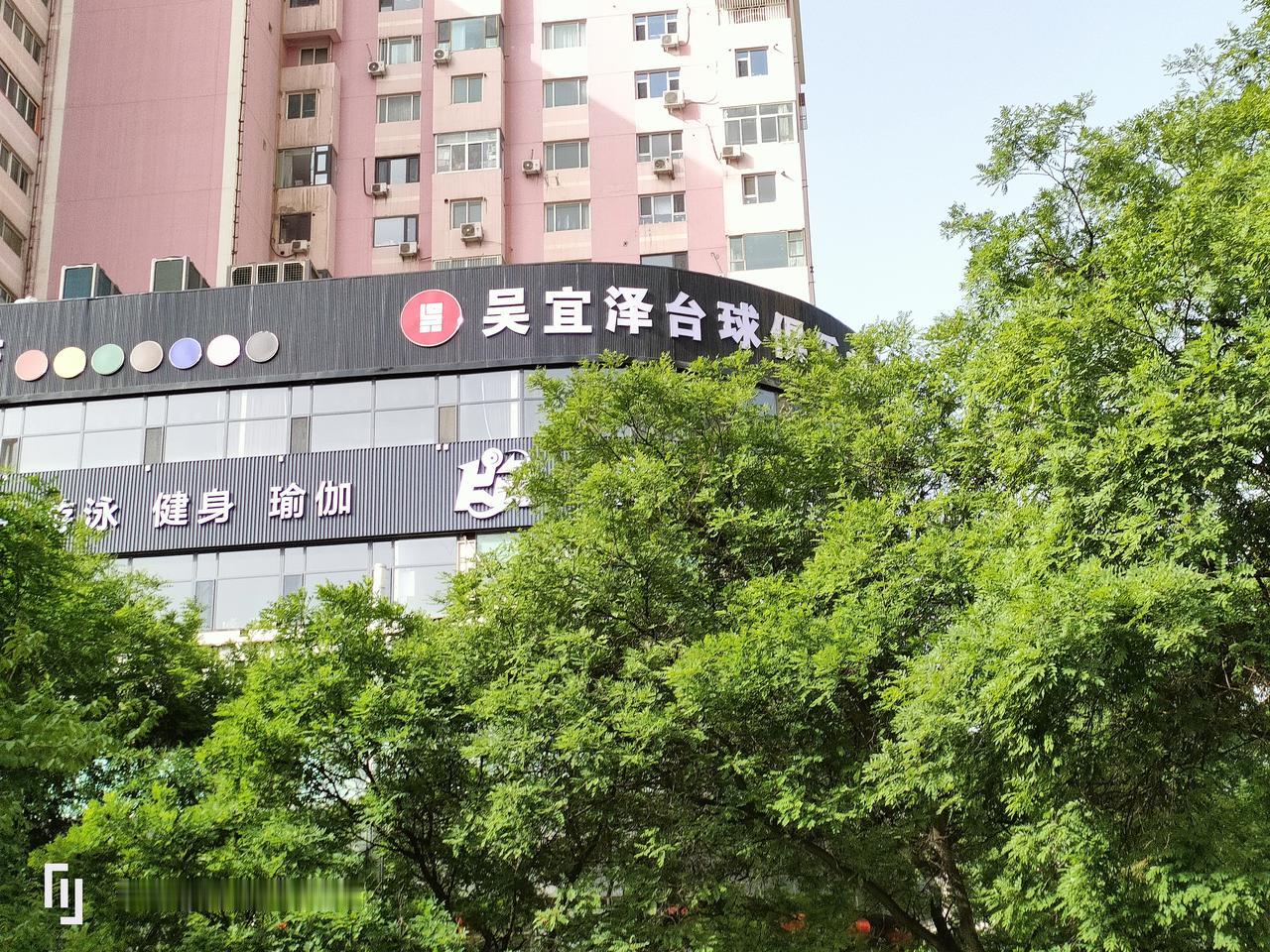 这家俱乐部的门槛，据说最近被省市政要、各方球迷给踩烂了[捂脸][捂脸][捂脸]