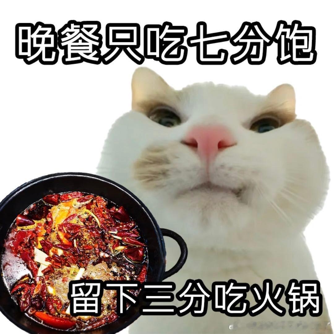哈兰德也是吃上重庆必吃榜了哈兰德误以为重庆轻轨是当地特色美食，闹出可爱小误会。欢