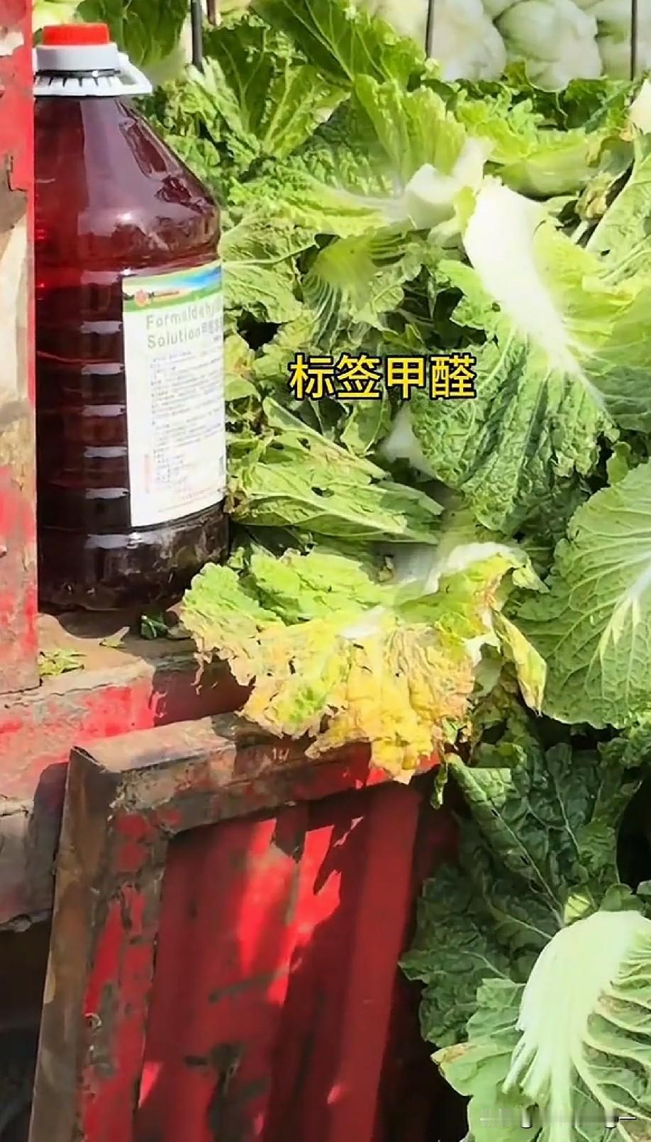 甲醛白菜这件事，农户真的完全不知情吗？是真看不见，还是装看不见？我看也不是什么好