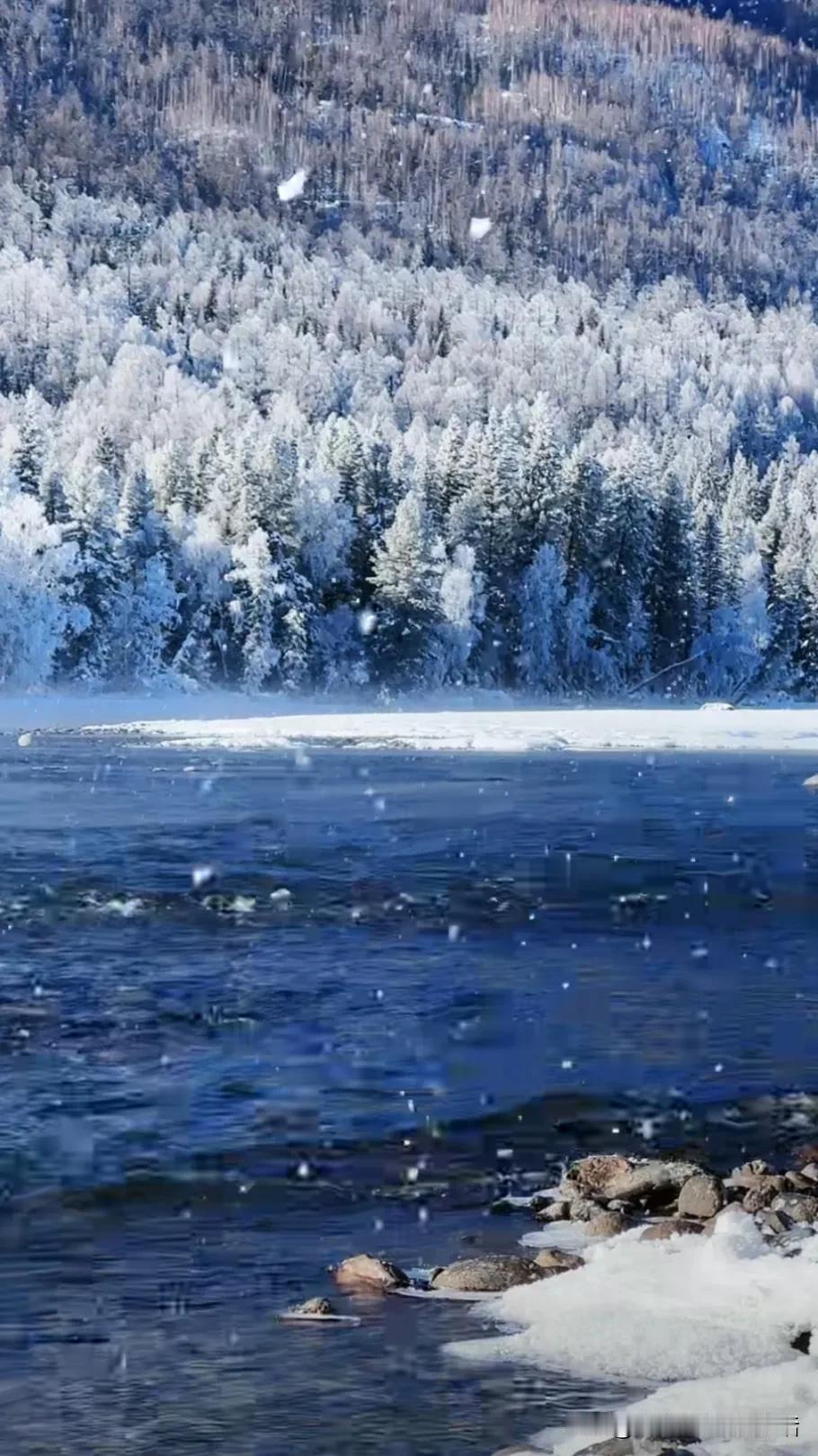 冬日仙境，白雪皑皑的森林与静谧的湖面相映成趣。迷人的冬日景色 雪后山间似童话