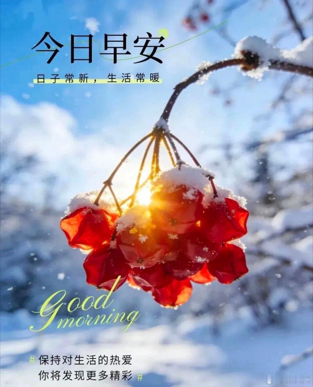 生活中的小确幸，最美的遇见是理解 