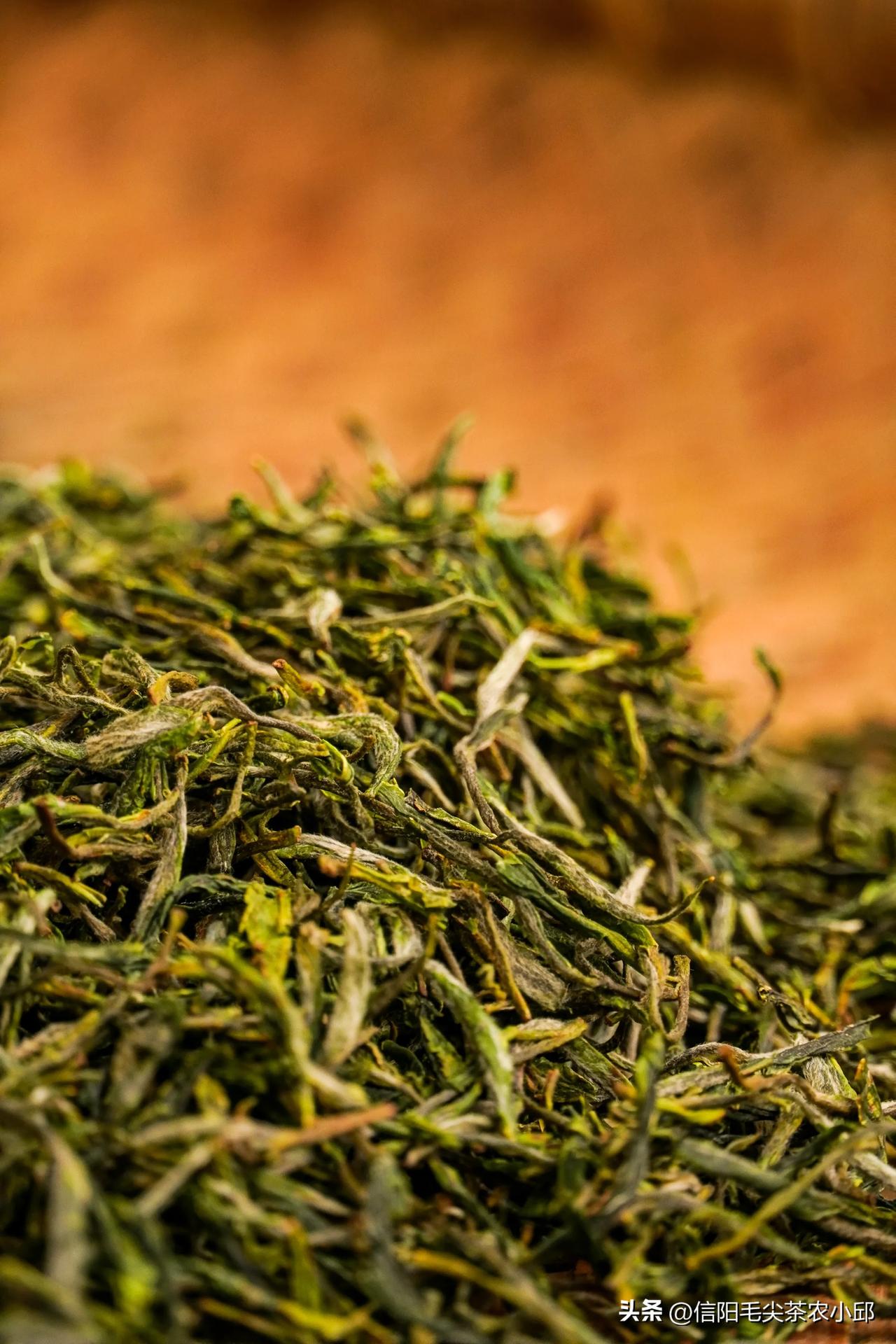 爷爷做的手工茶信阳毛尖 春茶 春茶上市