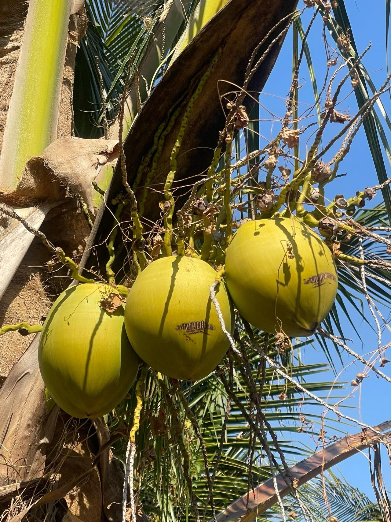 记录我的2026啥时候掉下来？