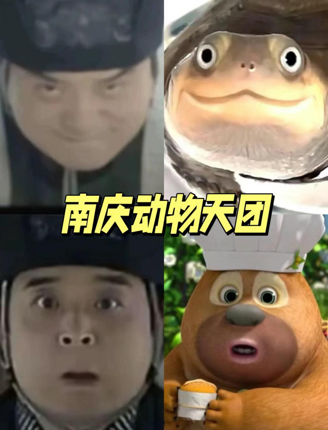 姐妹们👭有没有感觉庆余年2就是一个巨大的疯狂动物城～欢迎来到南庆动物天团，太传